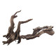 Коряги IKEBANA SLIM 10-20 см.