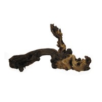 Коряга Mopani Коряга Mopani