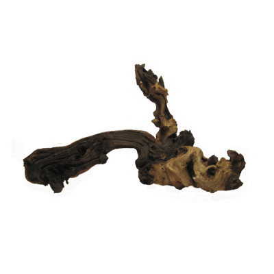 Коряга Mopani Коряга Mopani