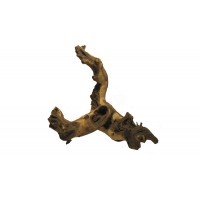 Коряга Mopani