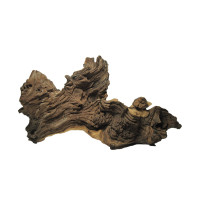 Коряга Mopani Коряга Mopani