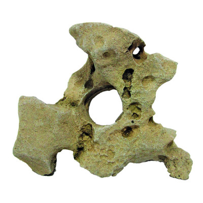 Beige Stone с круглым отверстием Beige Stone с круглым отверстием